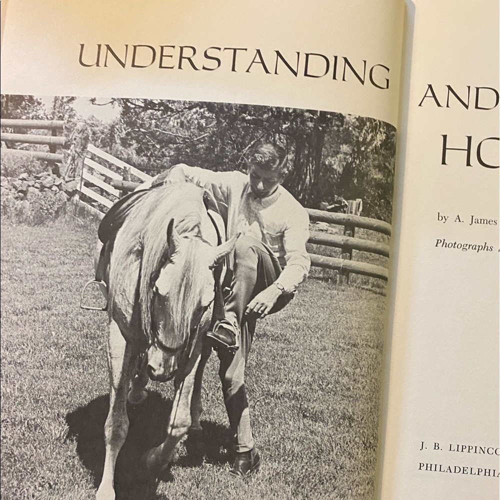Horse Book 📕 - Picture 3 of 12